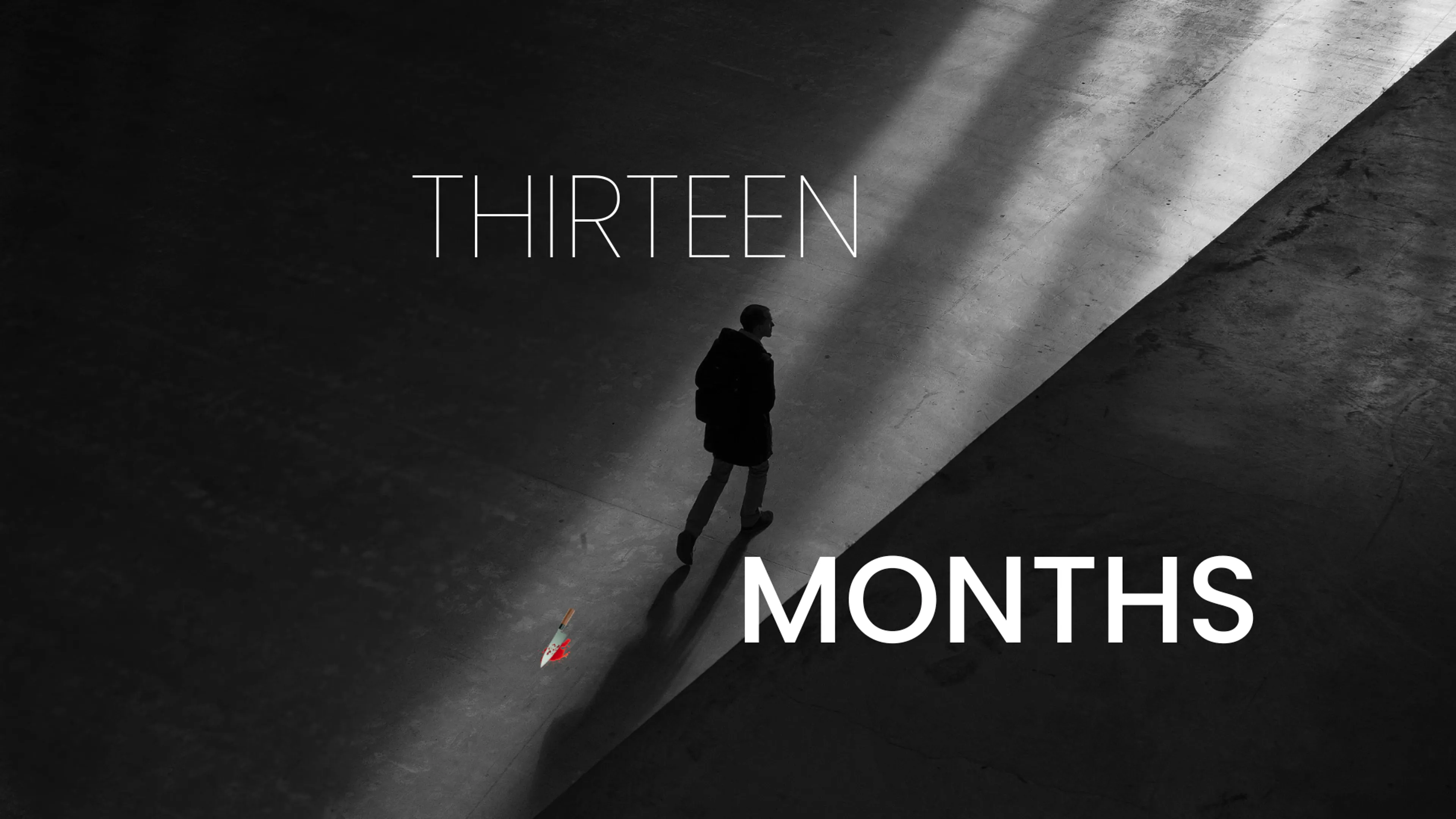 13 Months poster